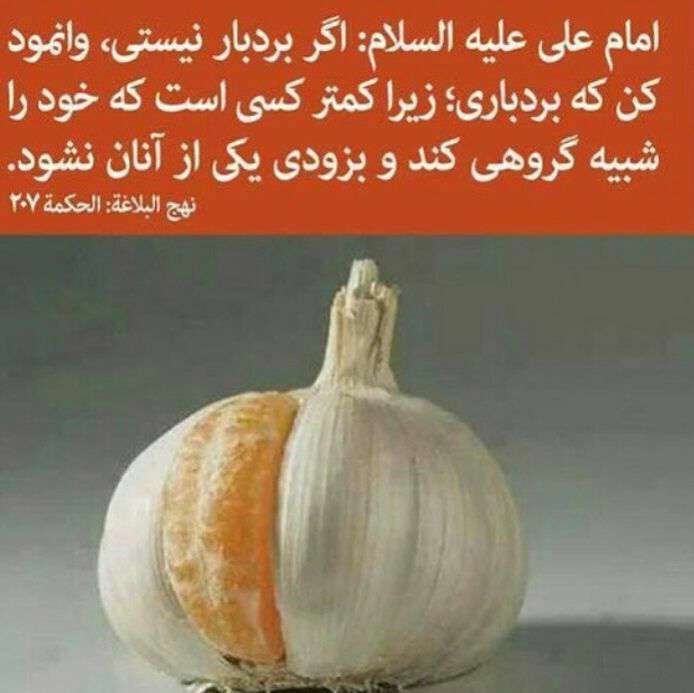 حدیثی از امام علی در مورد بردباری